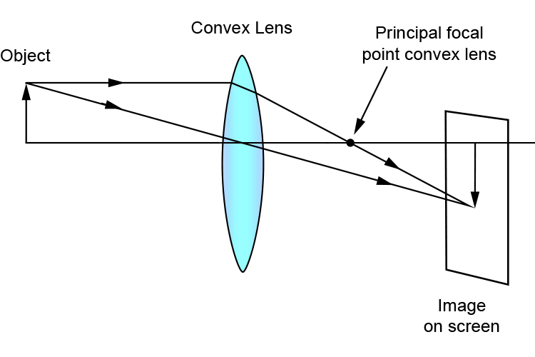 Ray diagram showing the principal focal point and image on a screen with just a convex lens